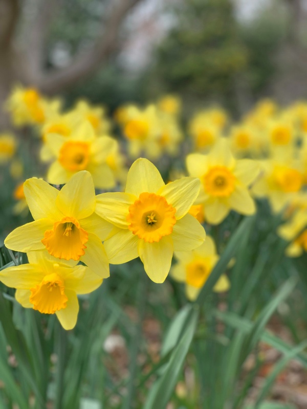 May 2026: March showers bring April flowers