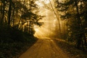 Navigating Retirement: Data-Driven Stories for Your Journey
