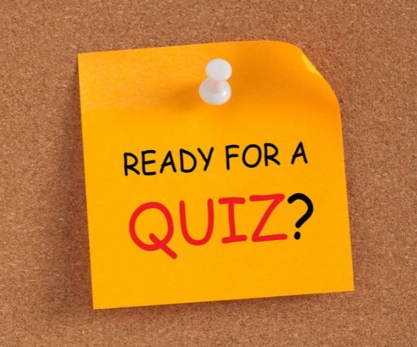 What’s Your Money Identity? Take the Quiz!