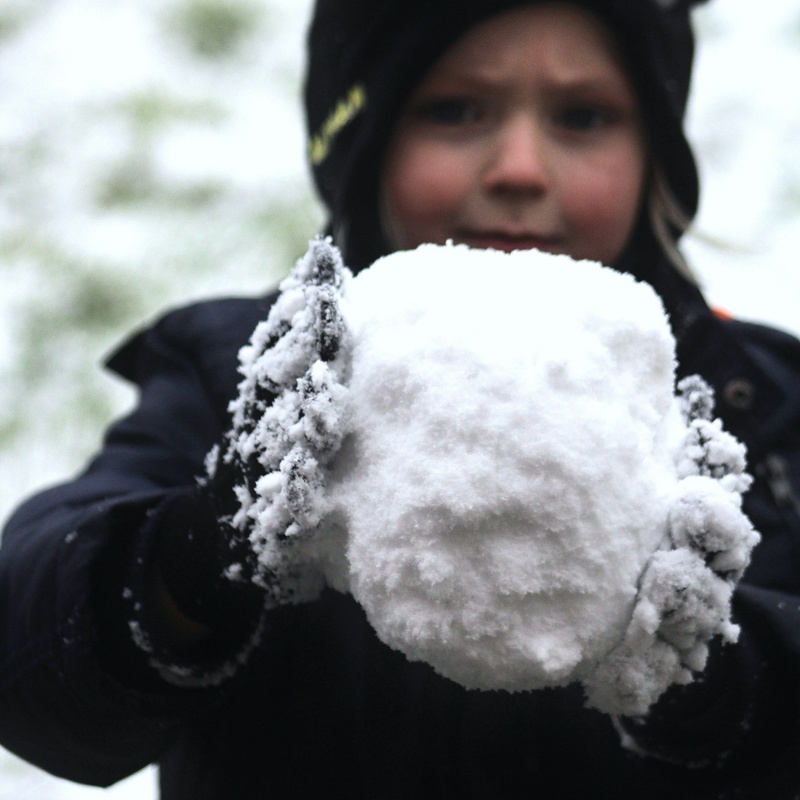 Snowballs and Dividends