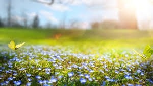 Spring Financial Check-Up: Reviewing Your Investment Portfolio