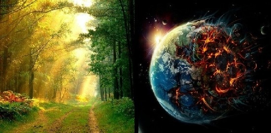 PERCEPTION VS REALITY