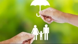 Term vs. Whole … What Type of Life Insurance Do You Need?