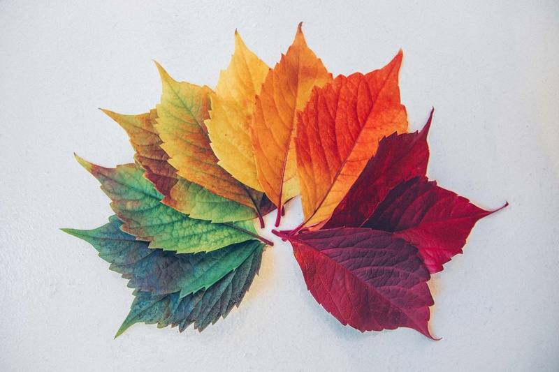 TALK ABOUT IT TUESDAY- IS YOUR PORTFOLIO READY FOR ALL SEASONS? (Video)
