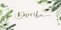December Client Letter