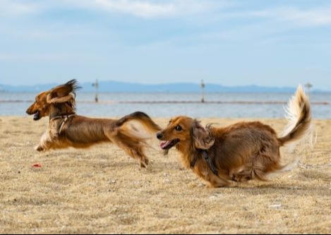 Helpful Information for Filing 2025 Income Taxes and Proactive Tax Planning for 2026