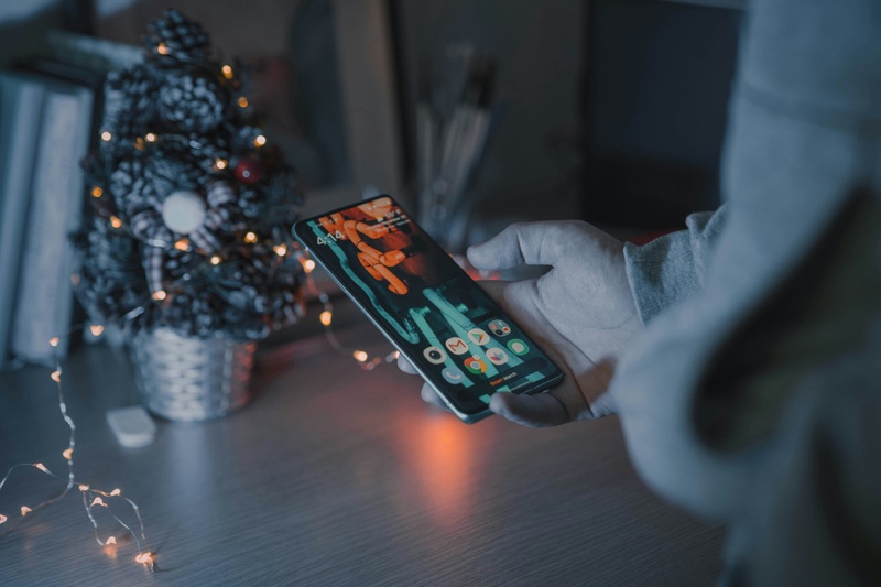 Tis the Season - For Fraud