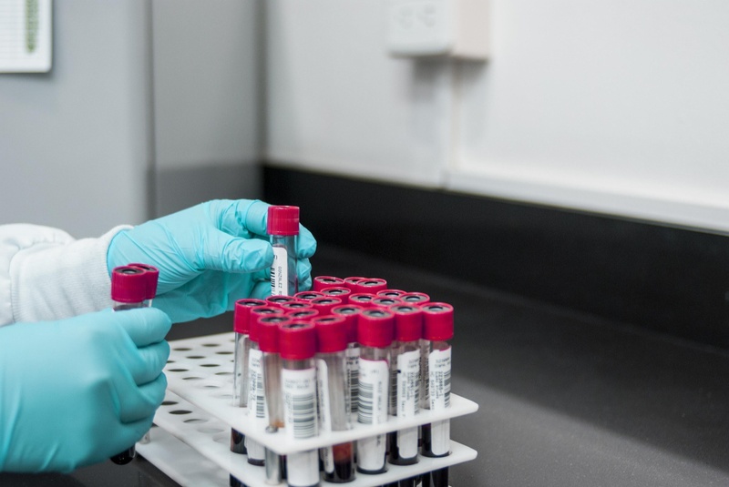 Eating for Your Blood Type: From Our Origins to How We Nourish Ourselves Today