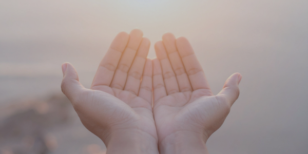 Trusting God Instead of My Portfolio