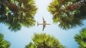 Planes, Trains & Automobiles