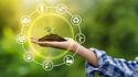 Sustainability For Small Businesses