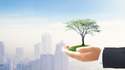 What does Socially Responsible Investing (SRI) Mean?