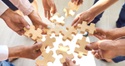 What We Do and How We Can Help