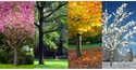 Seasonal Factors are With the Market