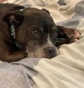 My Best Friend Died Today
