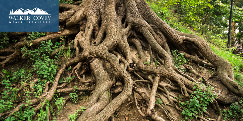 An Introduction to Estate Planning for the Sandwich Generation