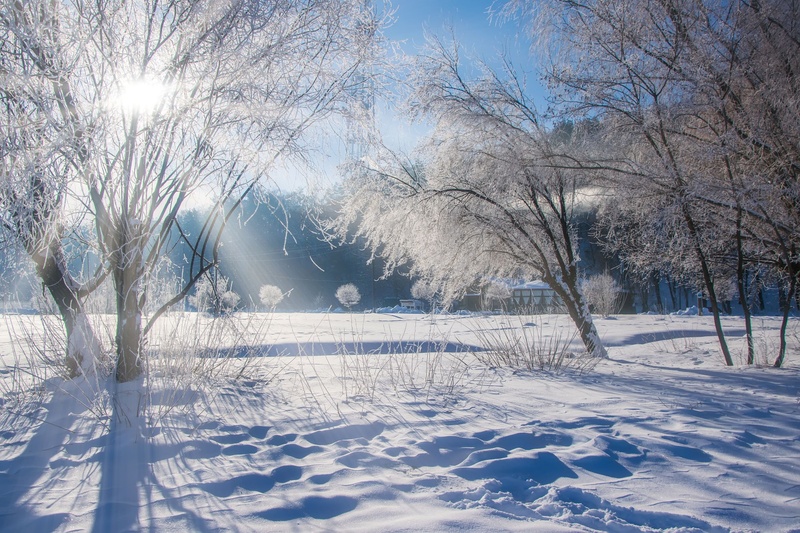 Participant Corner: Winter Word Search
