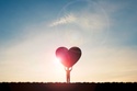 Amplify Your Charitable Giving