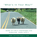 What is Standing In Your Way?