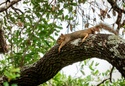 Stock Market Rally takes a Breather