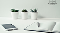 The Best Items to Help You Organize Your Finances and Important Documents