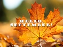 August 2023 Recap: August Snaps 5-Month Win Streak. All eyes on the Fed in September.