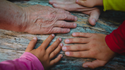 Tips for the Fast Growing Sandwich Generation