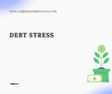 Debt Stress