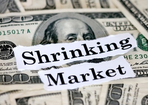 Shrinking Equity Market?