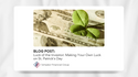 Luck of the Investor: Making Your Own Luck on St. Patrick's Day