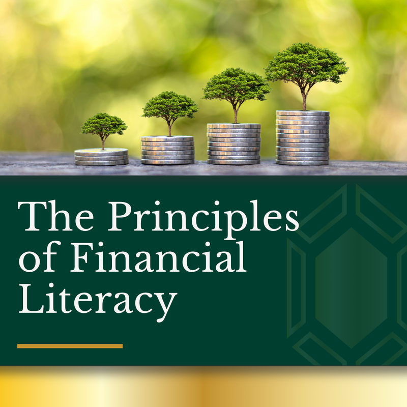 The Principles of Financial Literacy