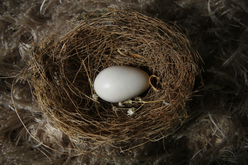 Don't Let Taxes Eat Away at Your Nest Egg: A Simple Guide to Tax-Smart Investing