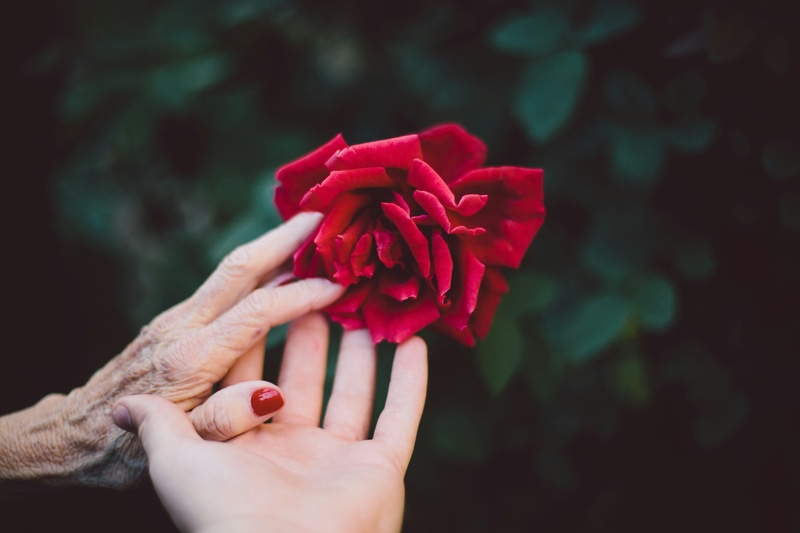 4 Steps to Ensure Your Parents’ Finances Are Secure