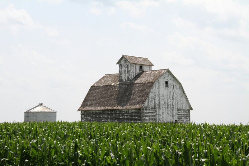 The Evolution of Fiduciary Standards in Modern Wealth Management