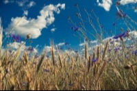 A Lookback to 2023 / Looking Ahead to 2024