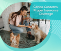 Canine Concerns:  Proper Insurance Coverage