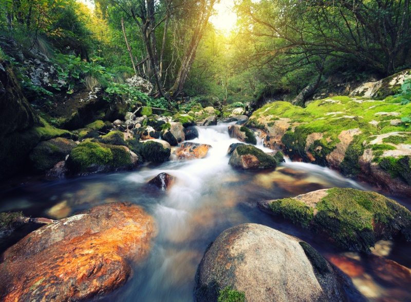 Keep Capital Gains and Estate Taxes at Bay with Upstream Gifting!