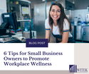 6 Tips for Small Business Owners to Promote Workplace Wellness