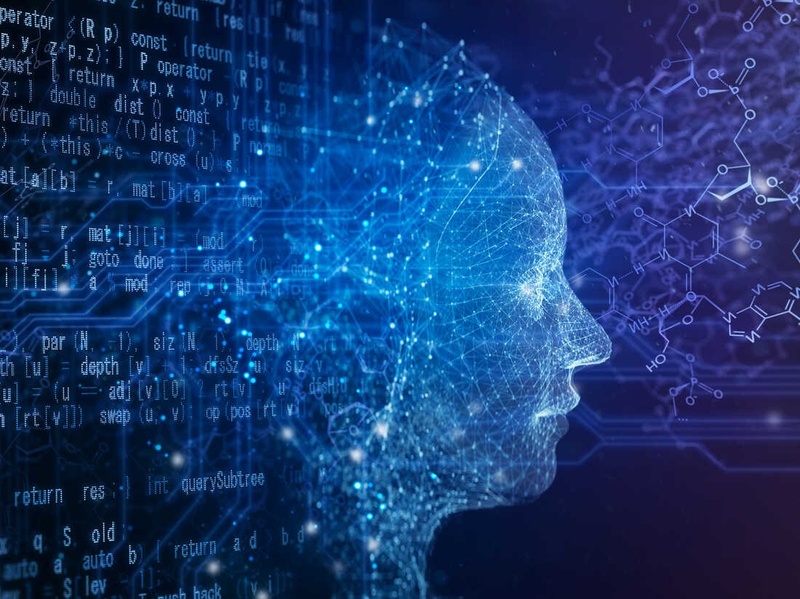 How Will the Economy React to AI?