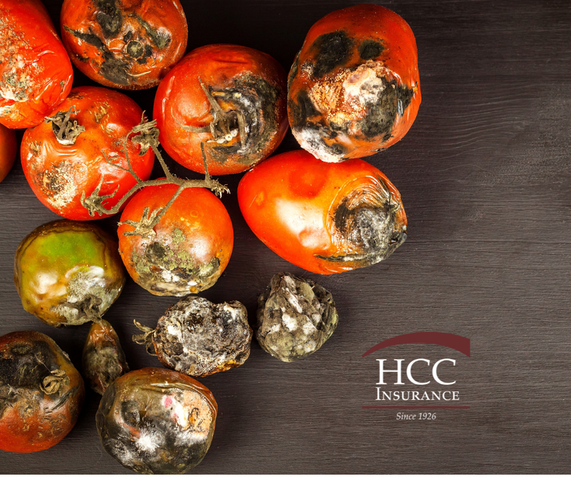 Protecting Your Restaurant from Food Spoilage and Equipment Breakdown