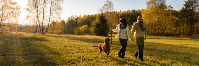 Navigating Life Transitions Near Retirement: Turning Change Into Clarity