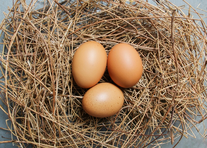 What to do with that old 401(k)?