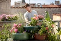 April Showers, Flowers and Strategies for a Better Tax Outlook Next TIme