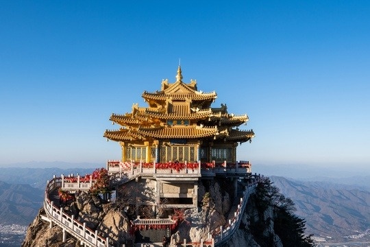 Weekly Market Insights - May 12, 2025