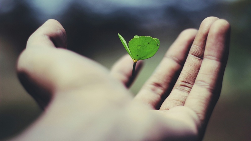 Tackling Uncertainty for Personal Growth