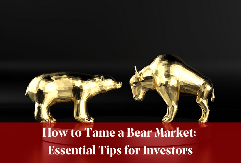 How to Tame a Bear Market: Essential Tips for Investors