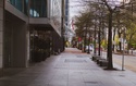 Recession or Growth Scare? Your Guide