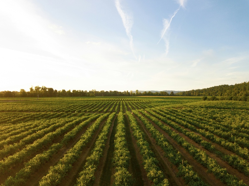 Farmer’s Retirement: What to Consider When Selling Land & Equipment