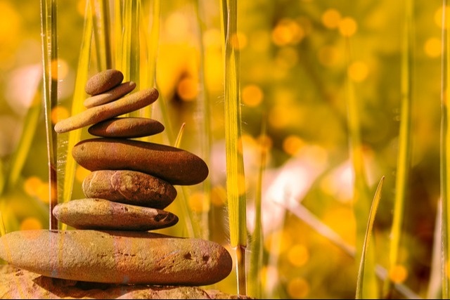 The Pillars of Financial Wellness