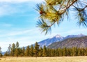 Empowering Business Growth: The Impact of Employee Benefits | Mountain High Excavating